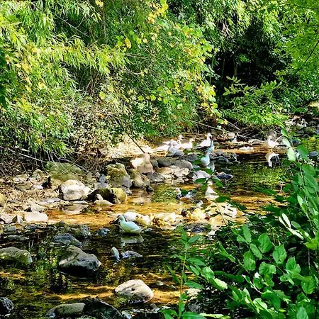 Aux Doux Refuges De La Muse