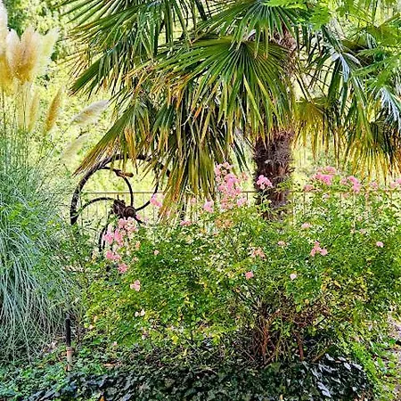 Daire Aux Doux Refuges De La Muse Montjaux