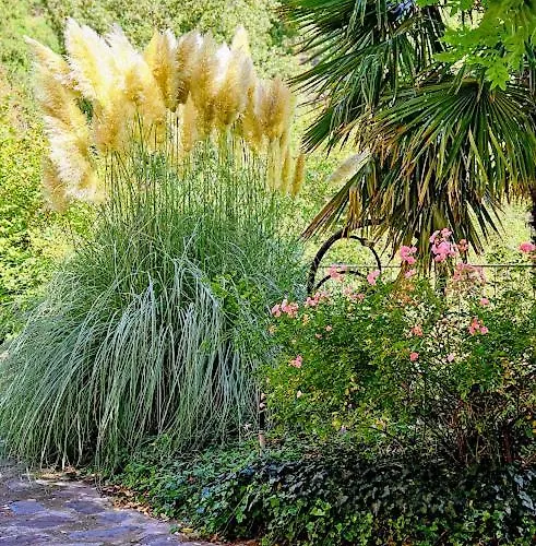 Appartement Aux Doux Refuges De La Muse *